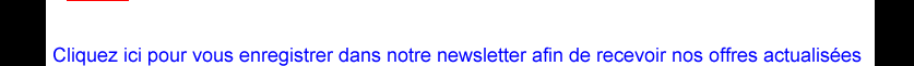 T&eacute;l&eacute;chargez les d&eacute;tails de nos offres site web en cliquant ici